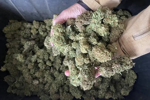 CBD-Shots-in-Cocktails-Non-Boozy-Twists-on-Classic-Mixers Kingdom Wellness & Dispensary