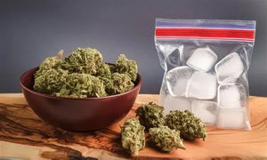 From-Farm-to-Fire-The-Artisanal-Journey-of-Crafting-Premium-THCA-Hash Kingdom Wellness & Dispensary