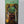 Elves Delight Calm Chocolate- Dark Chocolate with Sea Salt
