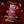 Melting Forest Mushroom Energy Drink