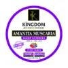 Amanita Muscaria Gummies Berry Burst Sleep - Kingdom Wellness & Dispensary